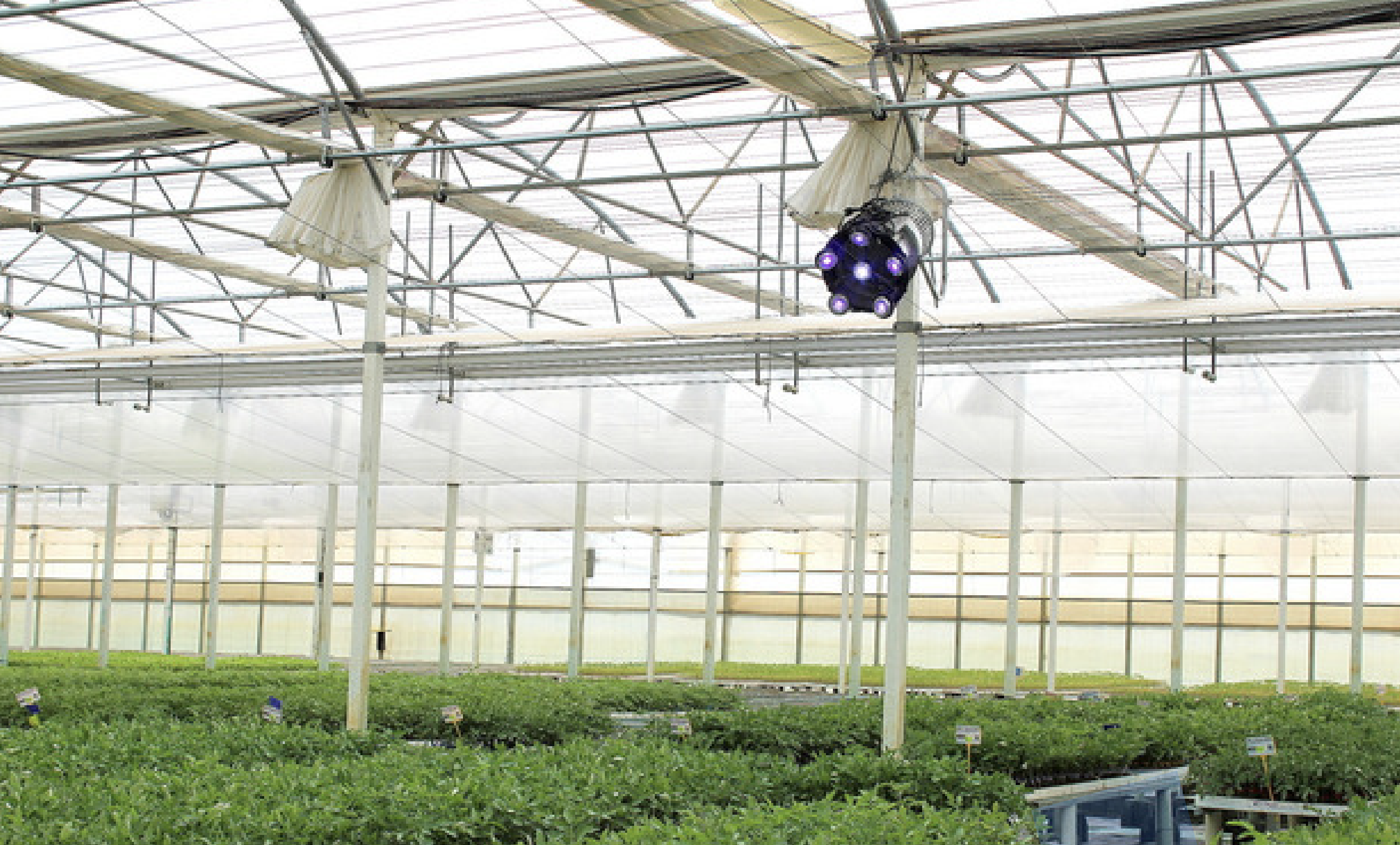 Equipo ecol�gico de control de plagas Biocaptur