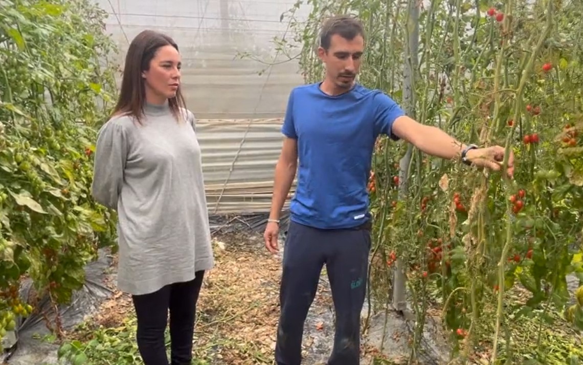 Ecoculture ha realizado ensayos en fincas de Granada y Per�