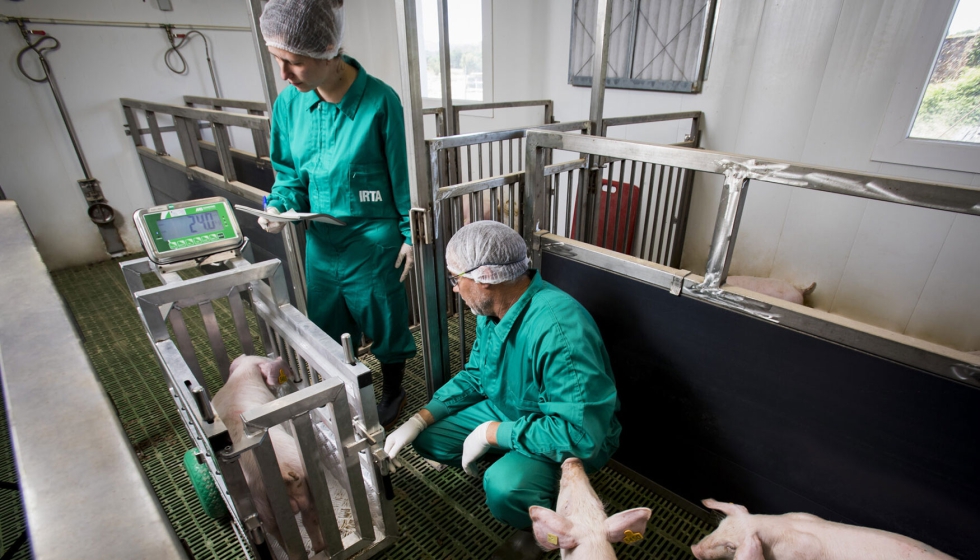 An�lisis del IRTA en el proyecto Climporq