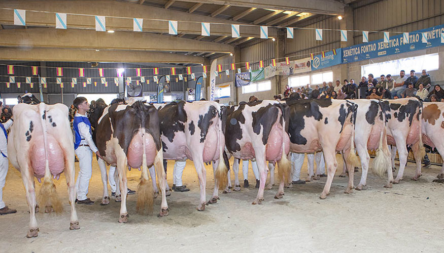 Un instante del concurso