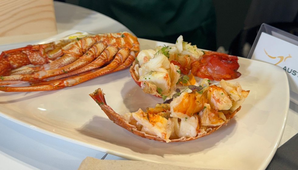 Langosta de agua templada de Brolos y langosta de aguas fr�as de rocas del sur de Ferguson Australia