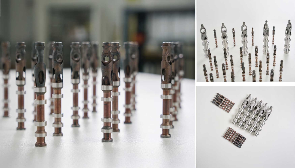 Diferentes carretes Domin