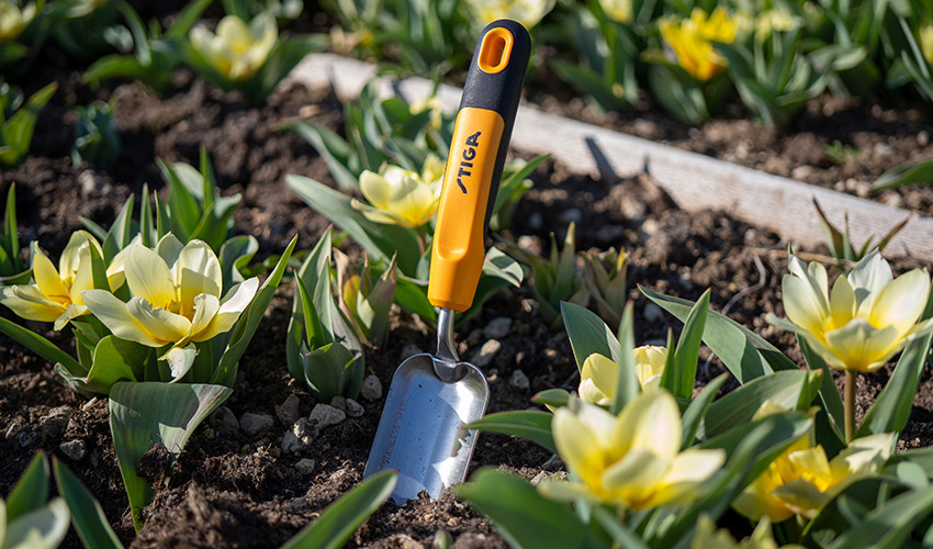 Pala para trasplantar