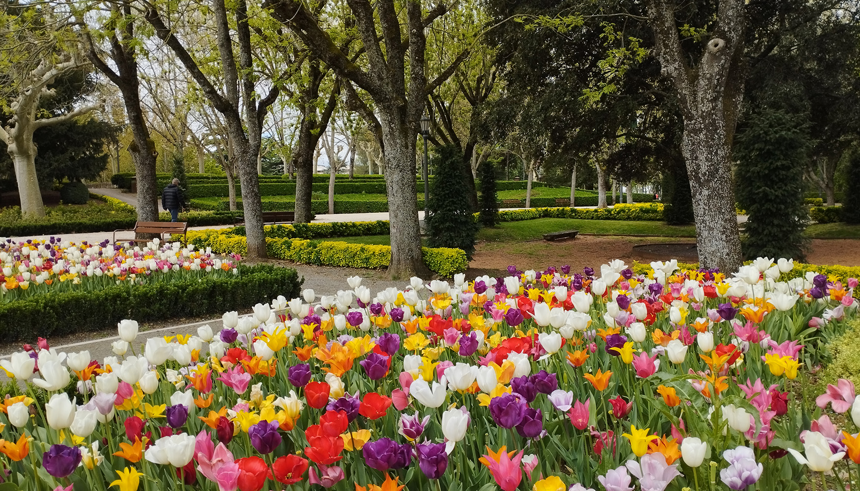 El contrato de suministro de plantas firmado para �ste y el pr�ximo a�o asciende a 142.181 euros