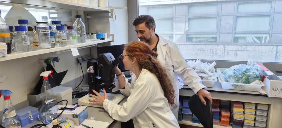 El art�culo completo se puede leer en este enlace