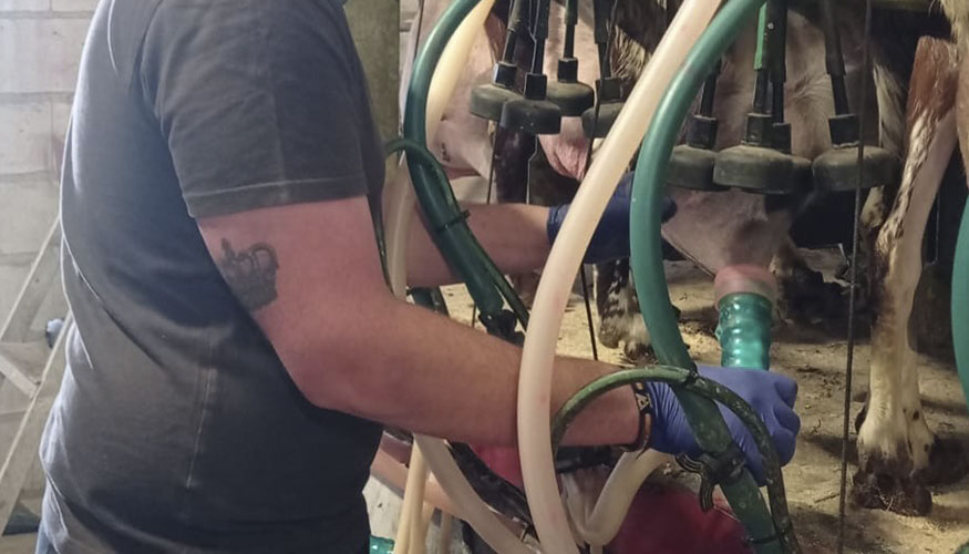 Nueva granja en control lechero de la raza Florida