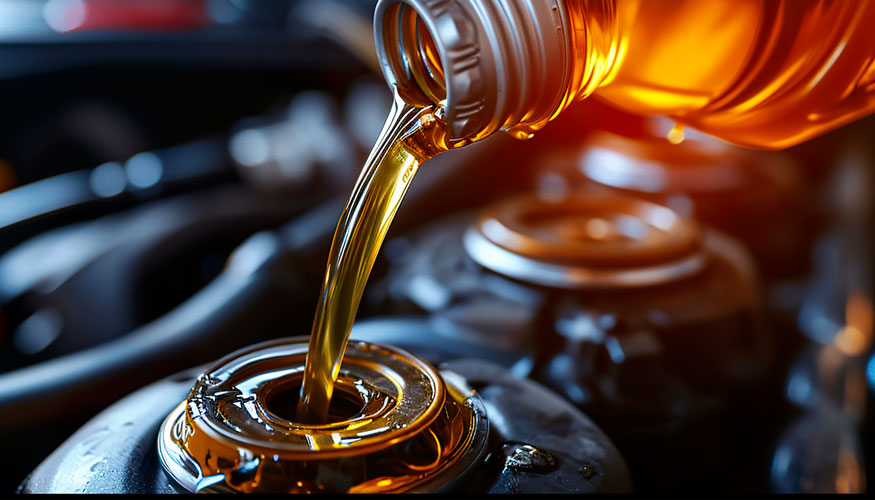 El a�o pasado se recogieron 153.993 toneladas brutas de residuo procedentes de 65.846 puntos generadores en toda Espa�a, a trav�s de 176...