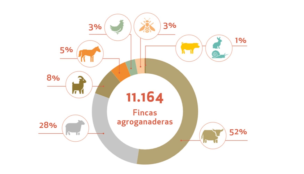 Clasificaci�n de la ganader�a ecol�gica