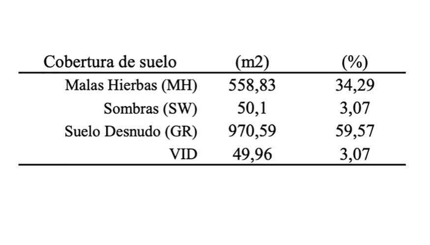 Tabla 6. Resultado de la clasificaci�n con ANN