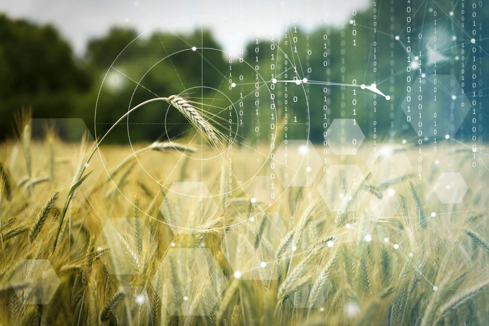 Este movimiento busca simplificar la oferta tecnol�gica para empresas de los distintos subsectores agroalimentarios