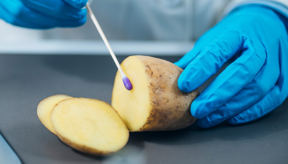El ahorro de tiempo que posibilitan las NTG no es solo una cuesti�n de laboratorio, es una cuesti�n de supervivencia frente a crisis fitosanitarias...