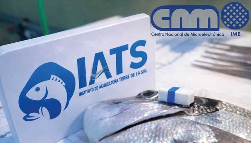 Imagen del dispositivo en un pescado