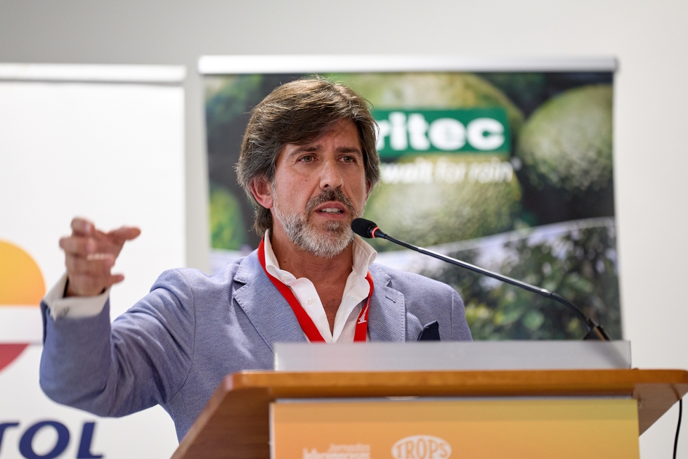 Antonio Carpintero, director general de la Organizaci�n Interprofesional del Aguacate y el Mango de Espa�a (Intertropic)...