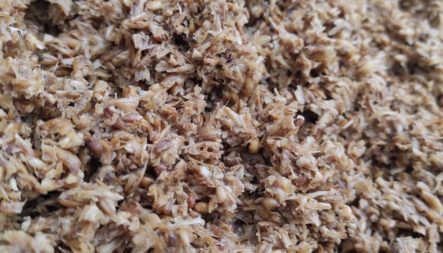 Los socios del proyecto BioSupPack han desarrollado biopl�sticos y envases sostenibles a partir de residuos generados en la producci�n de cerveza<br...