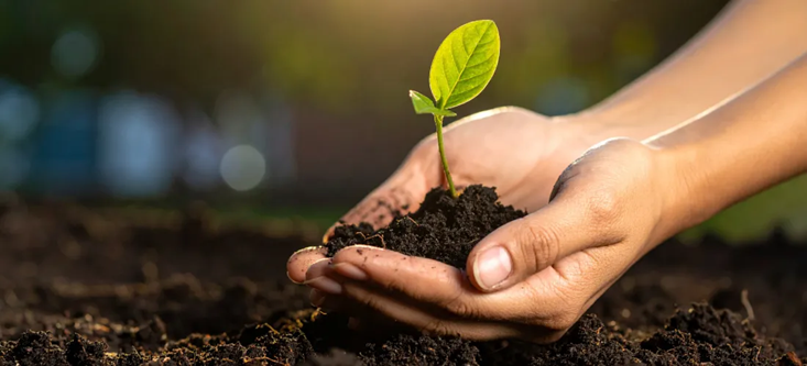 Ascenza y Selectis conmemoran el D�a Internacional de la Sanidad Vegetal