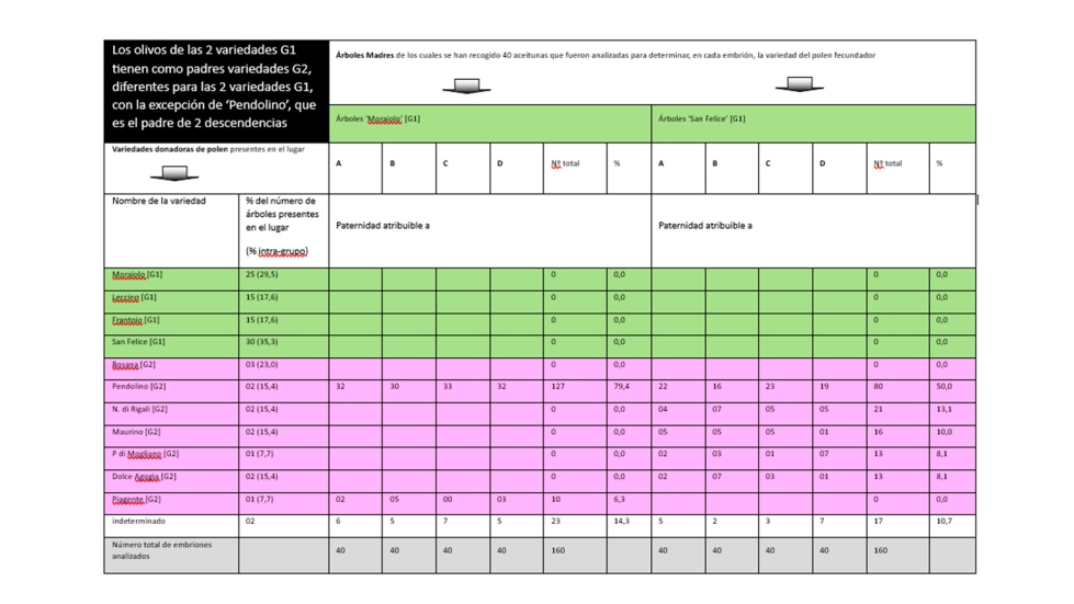 Tabla 2: Resultados obtenidos en el olivar de �Moraiolo� y �San Felice� en el centro del olivar de Giano (Lat.: 42.839N; Long.: 12...