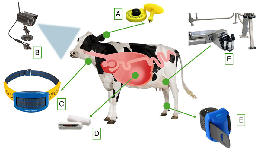Imagen 1. Herramientas tecnol�gicas utilizadas en la granja...