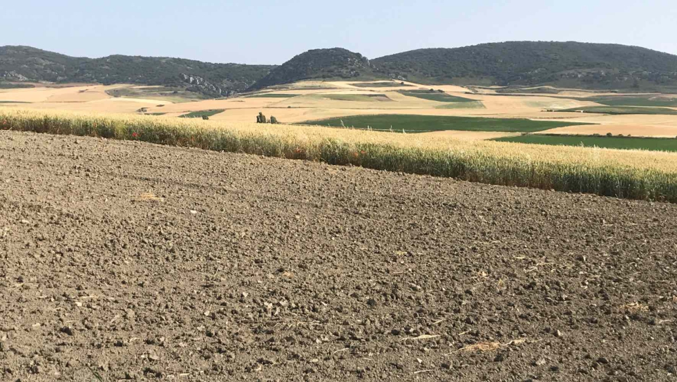 Estos datos confirman la resiliencia del mercado de tierras agr�colas en un contexto de moderaci�n general de las transmisiones inmobiliarias...