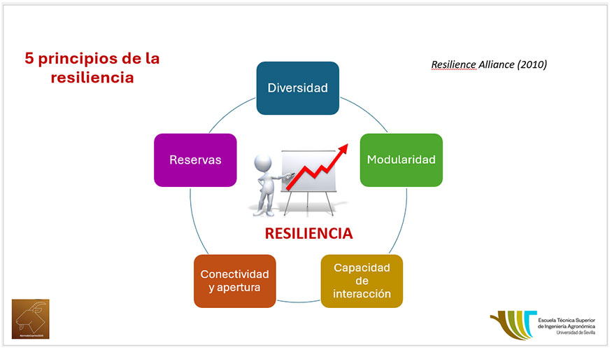 Diapositiva 2. Los cinco principios de la resiliencia