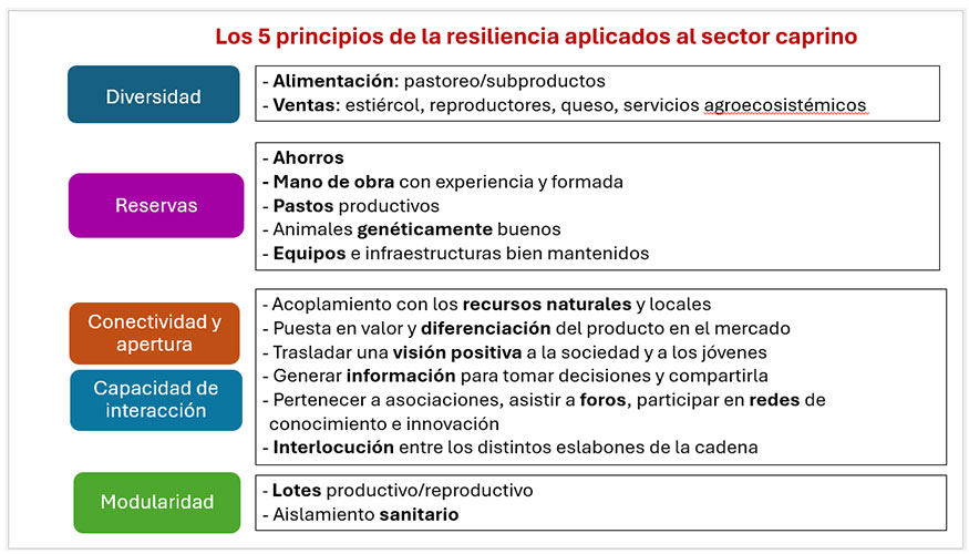 Diapositiva 3. Los cinco principios de la resiliencia aplicados al sector caprino