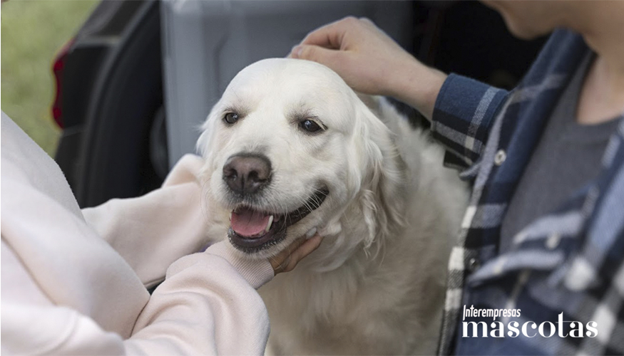 La oferta integra el servicio de teleconsulta veterinaria doctorpet, con un incentivo del 20% adicional de reembolso cuando el caso se inicia online...