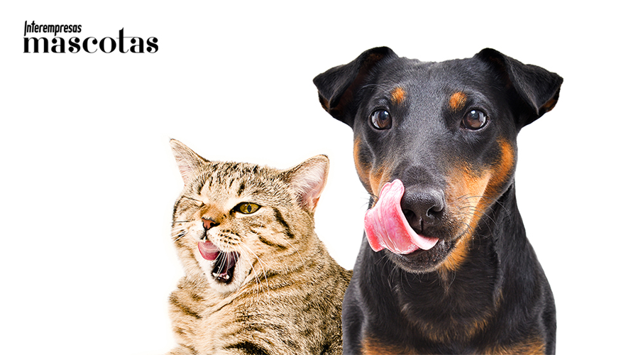 Expertos veterinarios destacan la importancia de adaptar el tipo de comedero y bebedero a las necesidades espec�ficas de cada animal...
