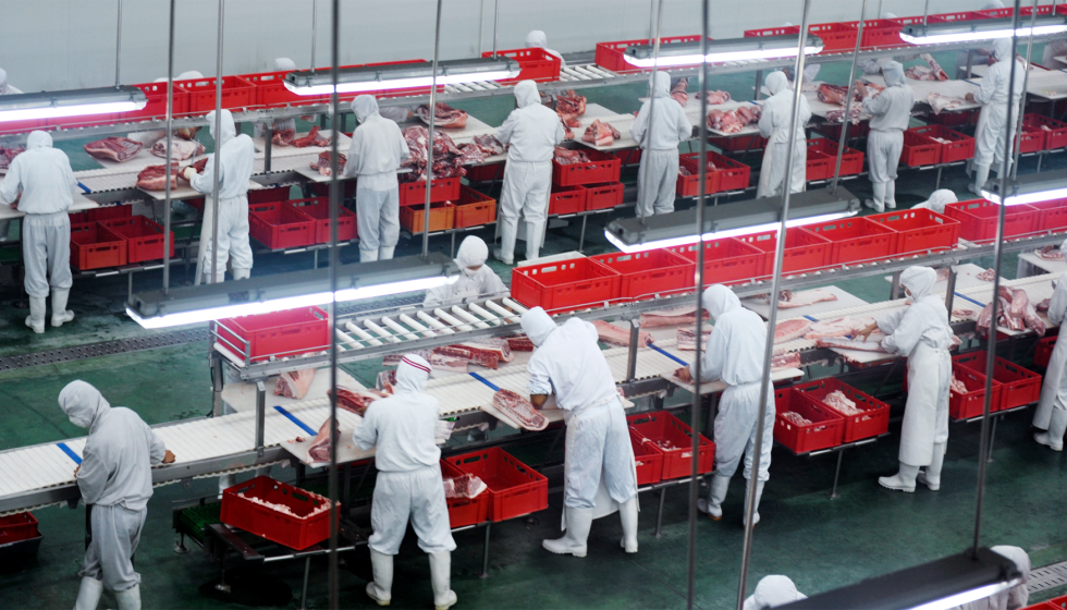 El subsector c�rnico representa el 30,1% de toda la industria de alimentaci�n y bebidas