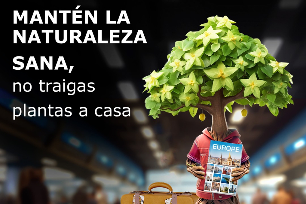 Este a�o la campa�a subraya que proteger la sanidad vegetal significa salvaguardar nuestros alimentos, nuestro medio ambiente y nuestro futuro...