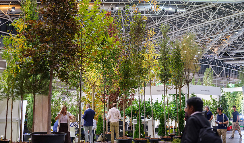 Iberflora y Eurobrico coincidir�n del 6 al 8 de octubre en Feria Valencia para impulsar nuevas oportunidades de negocio y colaboraci�n entre los...