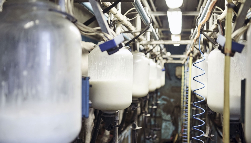Sistema de recogida de leche en una granja