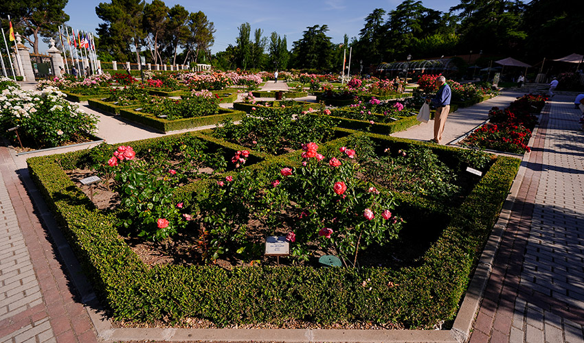 Vista de la Rosaleda del parque del Oeste