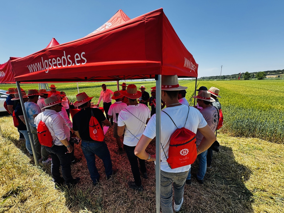 El equipo de Limagrain Field Seeds Ib�rica organiz� la jornada de campo en Villamarciel y Villavieja del Cerro (Valladolid)...