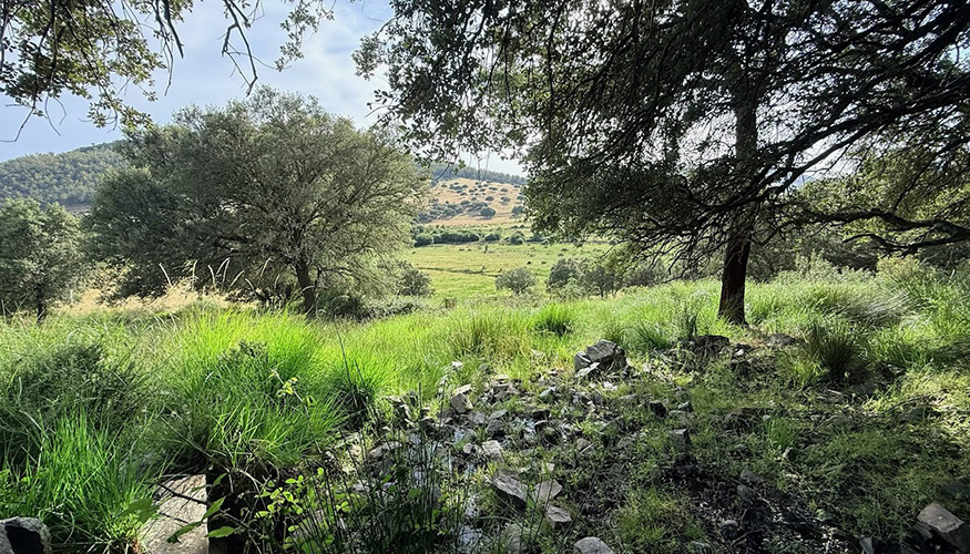 El proyecto contempla la puesta en valor de diversos enclaves de La Siberia mediante infraestructuras ligeras de interpretaci�n y educaci�n ambiental...