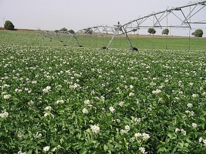 El sector vive con preocupaci�n la subida en el precio de fertilizantes y combustibles