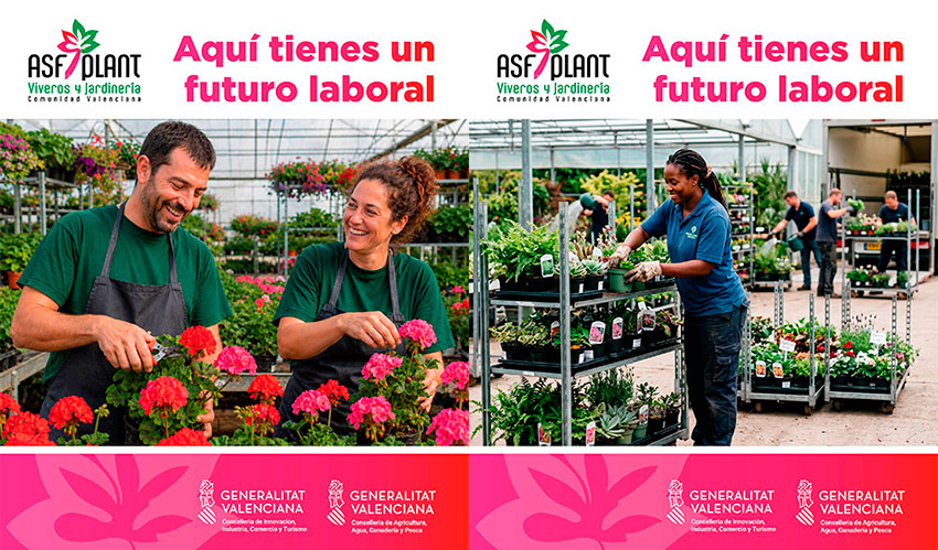 ASFPLANT impulsa una campa�a en redes sociales para dar a conocer las oportunidades laborales del sector ornamental en la Comunitat Valenciana y...