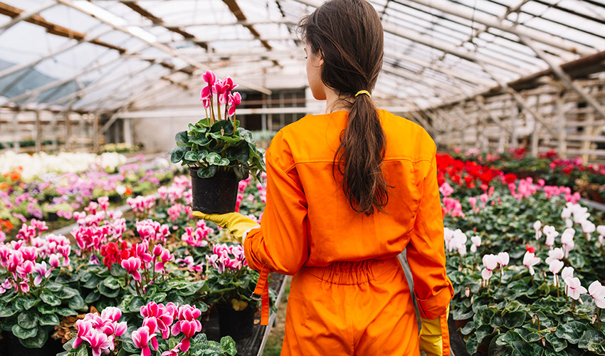 La exportaci�n espa�ola de flores y plantas vivas alcanz� los 238 millones de euros en el primer trimestre de 2026...
