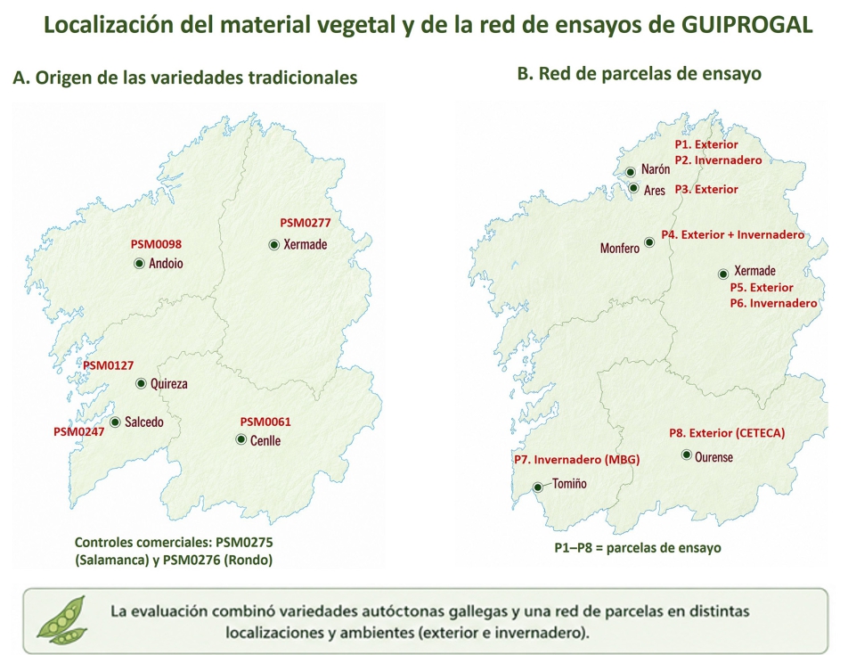 Figura 2. Origen geogr�fico de las accesiones tradicionales gallegas y red multiambiente de ensayos de GUIPROGAL en Galicia...