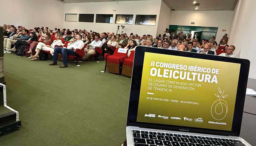 O edif�cio Nerbe/Aebal registou lota��o esgotada