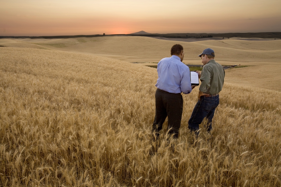 Durante d�cadas, los agricultores han generado productos esenciales para la sociedad; en los pr�ximos a�os...