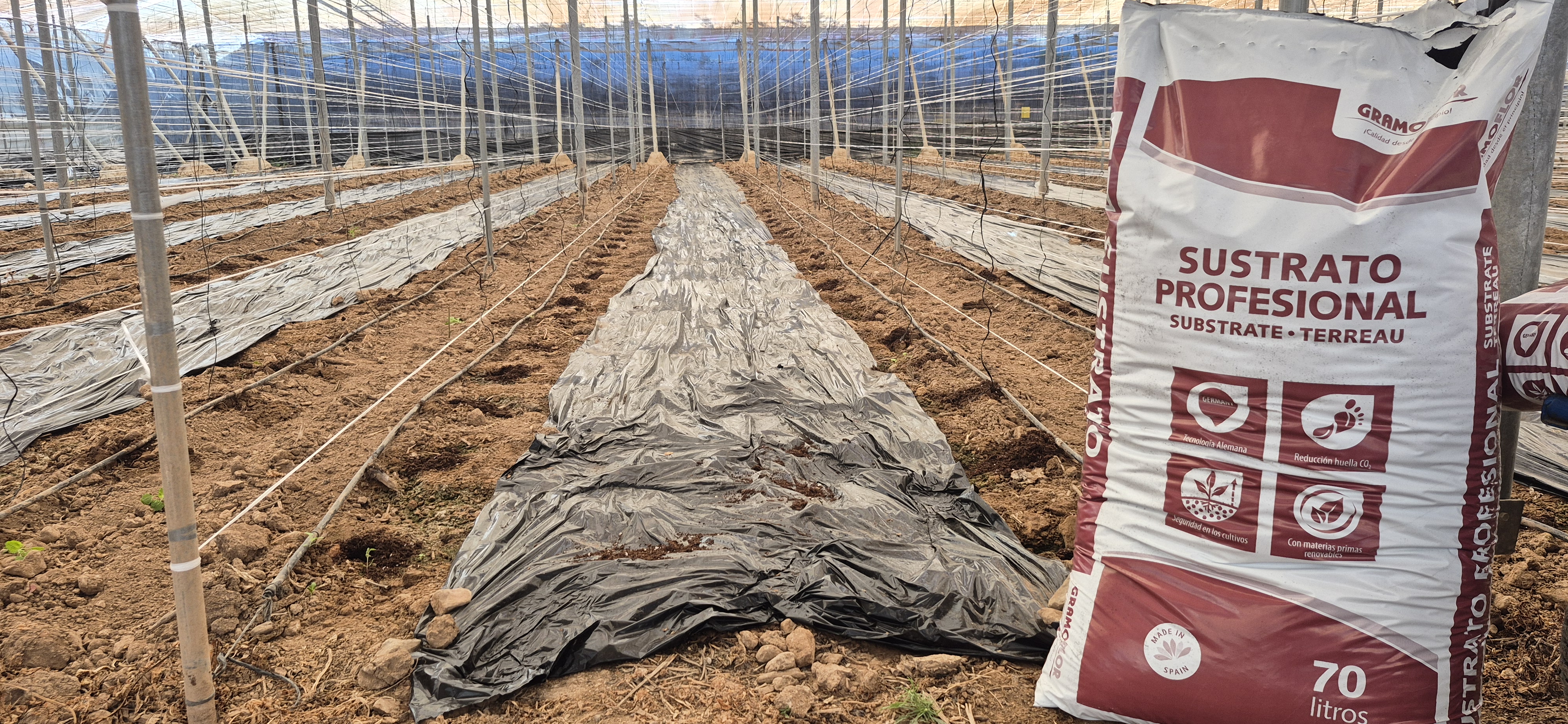 Gramoflor Ib�rica ha desarrollado Hoyos, un sustrato espec�fico para hoyos de cultivo