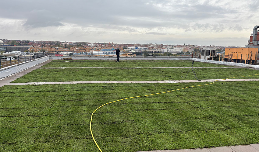 Las cubiertas ajardinadas se consolidan como una soluci�n sostenible en edificios industriales y comerciales...