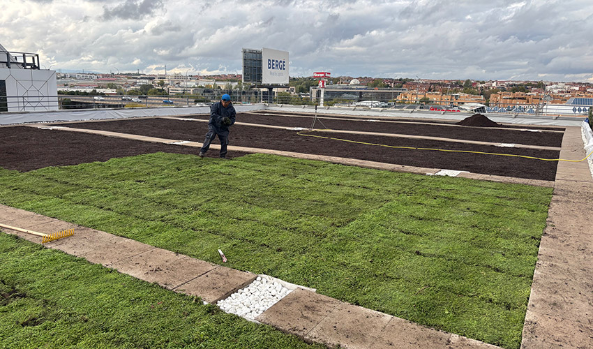 Las cubiertas verdes contribuyen a mejorar el aislamiento t�rmico y ac�stico de los edificios...
