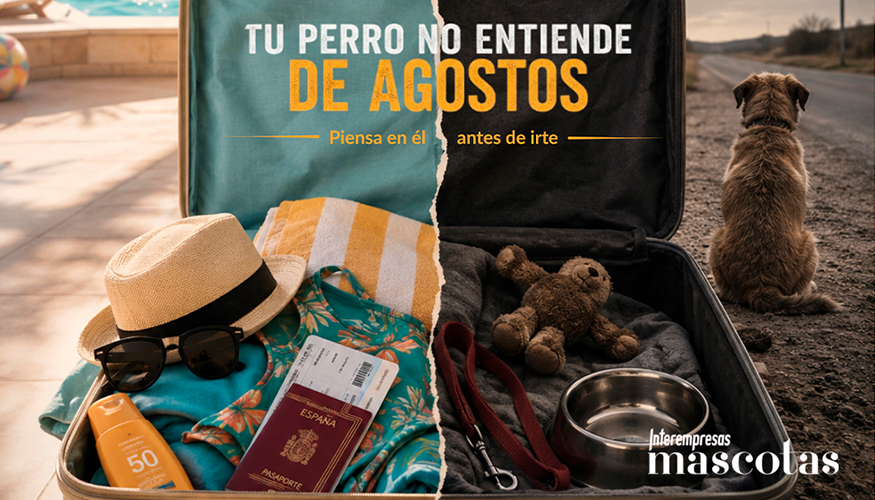 El perfil m�s habitual del perro abandonado es adulto, de tama�o medio y mestizo