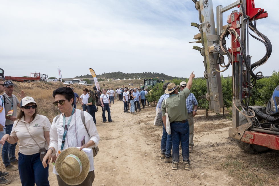 Las demostraciones organizadas por grupos facilitaron una experiencia m�s cercana y participativa...