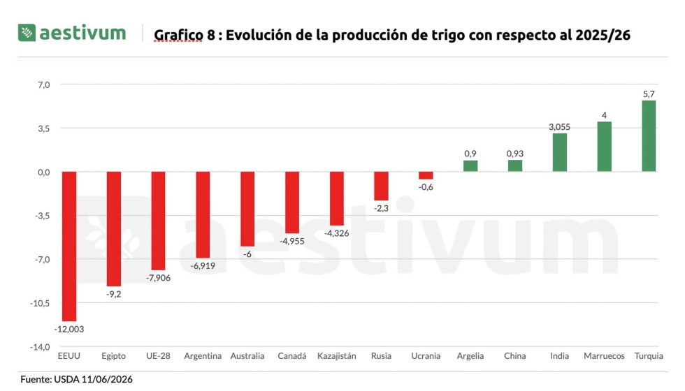 Grafico 8. Evoluci�n de la producci�n de trigo con respecto al 2025/26. Fuente: USDA 11/06/2026