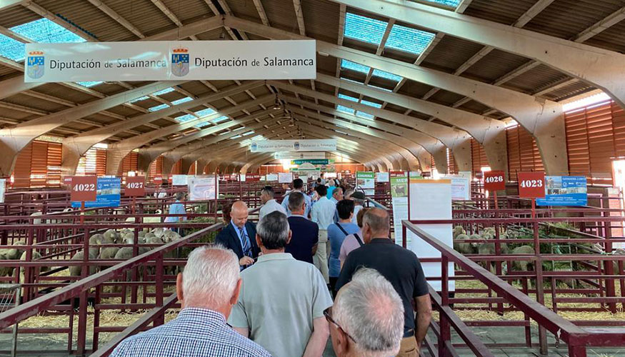P�blico en una pasada edici�n de Salamaq