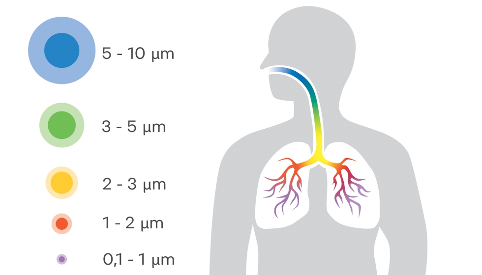 Ilustraci�n 1: el dibujo muestra c�mo entran las part�culas de humos de soldadura en el cuerpo humano...