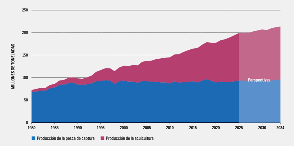 Perspectiva de la producci�n pesquera y acu�cola mundial hasta 2034
