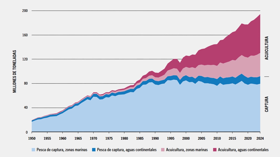 Producci�n pesquera y acu�cola mundial de animales por regi�n: 1950-2024...