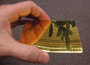 A new hardware can store data using holography using PC Makrofol ID sheets